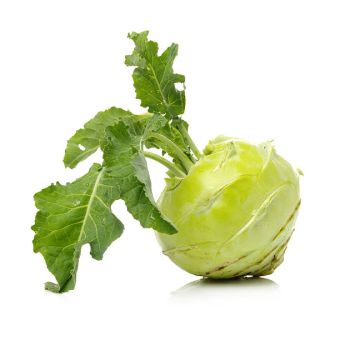 Kohl Rabi 1x1801